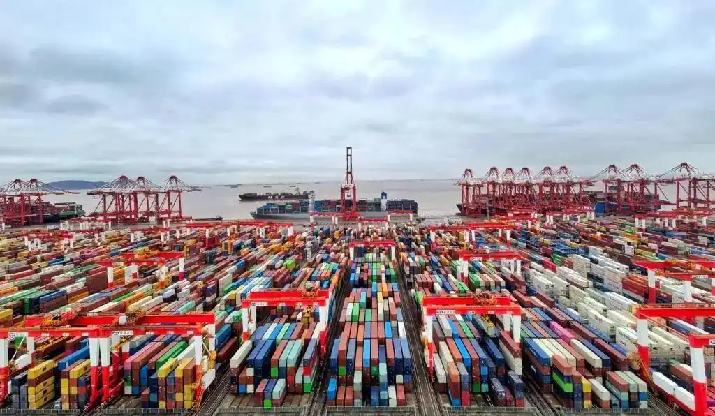 172395TEU！上海港单昼夜箱量立异高